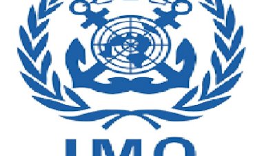 UNWTO VE IMO SORUNU YOLCU GEMİSİ