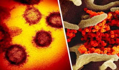 COVID-19 doğum gününü kutladı