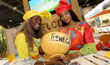 UNWTO, benzersiz Turizm Hikayelerini tanıtmak için MyAfrica kampanyasını başlattı