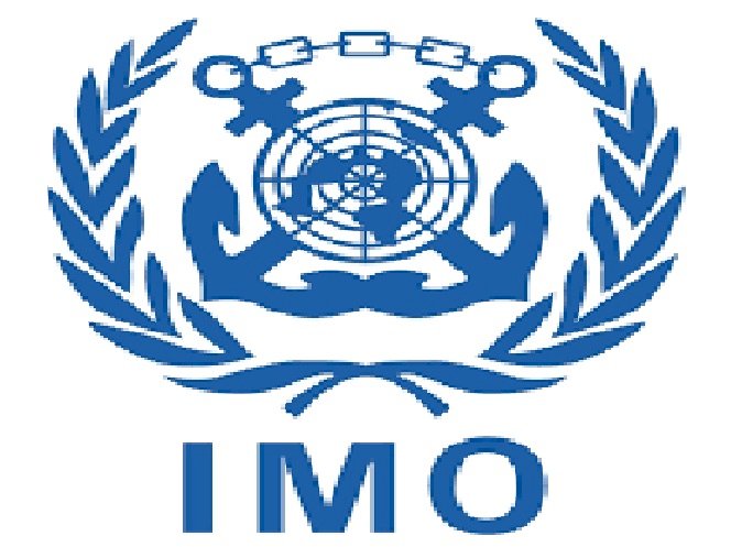 UNWTO VE IMO SORUNU YOLCU GEMİSİ