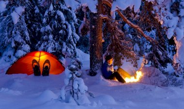 Tur operatörleri, kruvaziyer hatları ve otelciler sefil bir yıla bakabilirken, kamp sektörü rekor büyümeyi kutluyor ve 2021'e güvenle bakıyor.