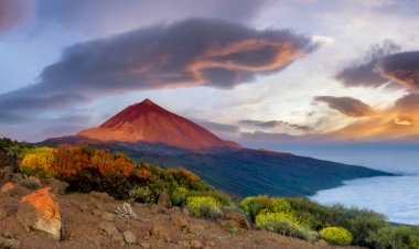 Tenerife seyahat uyarısı tehdit için günah keçisi olur