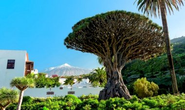 Tenerife görünüşe göre turistlerin girmeye devam etmesine izin veriyor