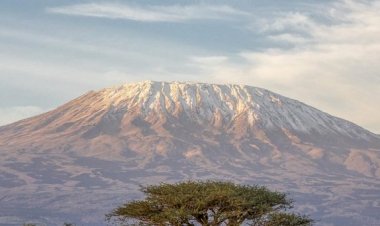 Kilimanjaro'da iç turizm bu Noel'de şekilleniyor