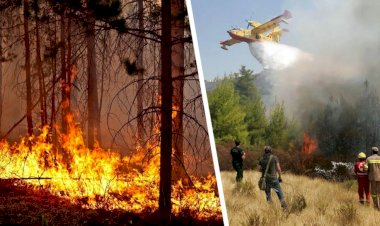 Soçi Milli Parkı yanıyor