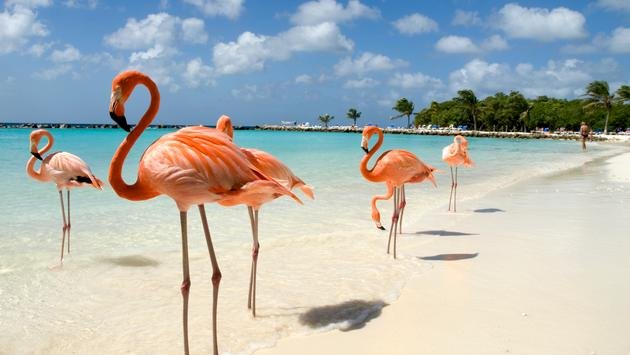 Şu Anda Seyahat Edebileceğiniz Uluslararası Destinasyonlar