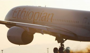 Etiyopya, Ortalama Zamanında Sektör Performansını Geride Bıraktı