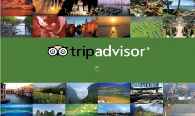 Tripadvisor Rekabet Avantajından Faydalanıp Zararları Kapatacak