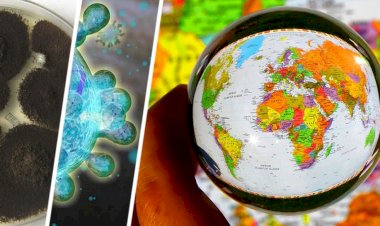 Hindistan da Turizm için yeni bir olay: Bireylere sürüngenlerin vücudundan geçen siyah ve sarı mantar saldırısı başladı