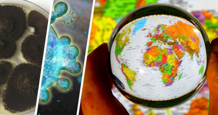 Hindistan da Turizm için yeni bir olay: Bireylere sürüngenlerin vücudundan geçen siyah ve sarı mantar saldırısı başladı