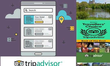 TripAdvisor ABD Üyelerine Sabit Ücretle Hizmet Verecek