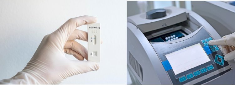 WTTC, Turizme Zarar Veren Aşısızlara PCR Testi Ücretli Olsun