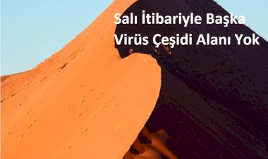 Salı İtibariyle Başka Virüs Çeşidi Alanı Yok