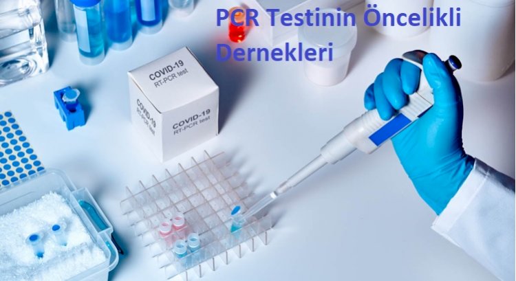 ETC Gezginlerin Sürdürülebilir Davranışı COVID-19'dan Etkilenmiyor